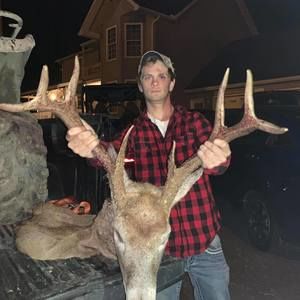 Meet your Posher, Braxton